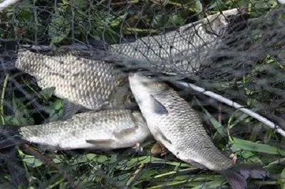 때이른 추위에 주춤해진 조황