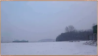 진위천 조황 소식