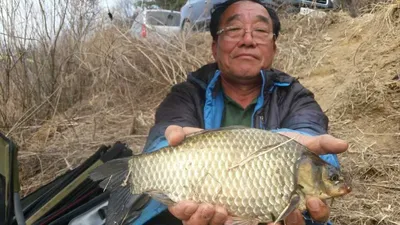 ***고삼지***노지에서 대물들이 쓱