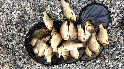 장마 끝자락에 드리는 조황안내 입니다.