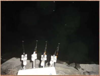 진위천 조황 소식