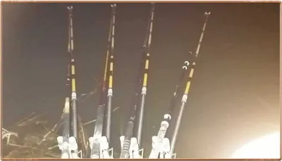 진위천 조황 소식