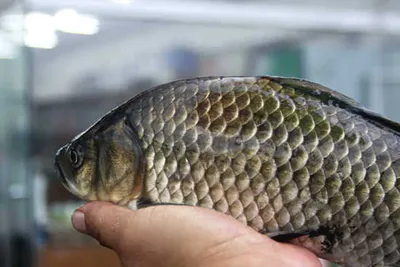 폭우.그리고 저수지 상황