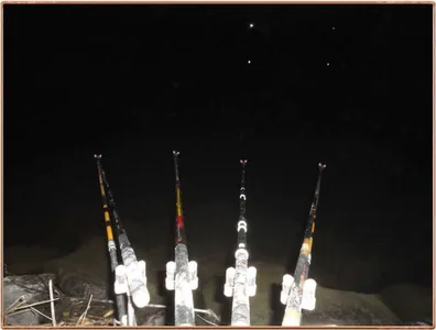 진위천 조황 소식