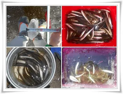 군위빙어낚시 시작 ~~