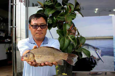 경산권 6월중순 조황안내