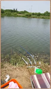 5월의 마지막 조황 소식.