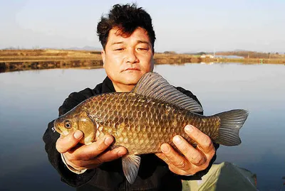 산란임박 대박조과......