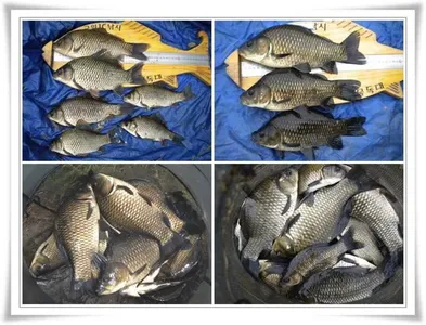 살아나는 초가을조황 ~~