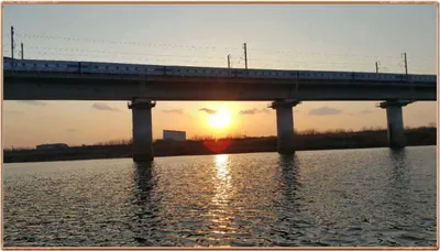 진위천 조황 소식