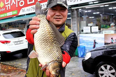 11월 중순에 전하는 늦가을 소식입니다.
