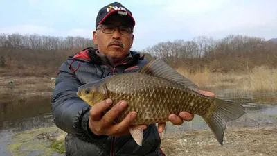 의성권 조황입니다