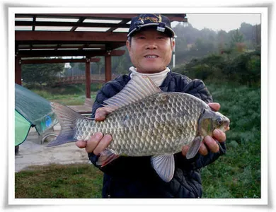 가을은 봄보다 아름답다.