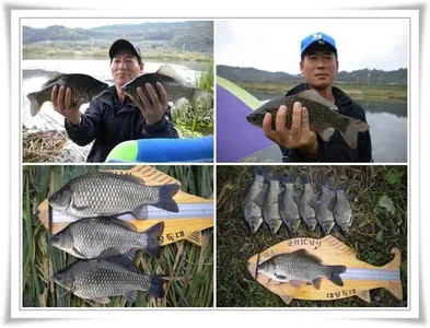 위천강과 소류지조황 ~~