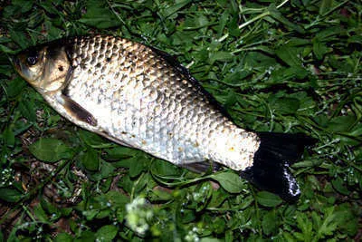 여름을 기다리는 경산권