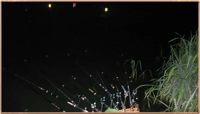 진위천 조황 소식