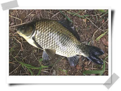 가을 시즌을 맞으면서.