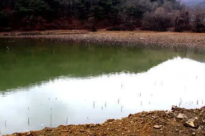 봄비뒤의 경산권 저수지 상황