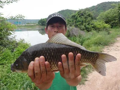 대단한 손맛 4짜에 대물소식......