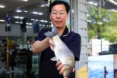 오월의 시작-대물붕어와 함께하는 조황 안내 입니다.