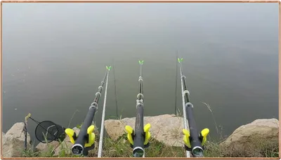 진위천 조황 소식