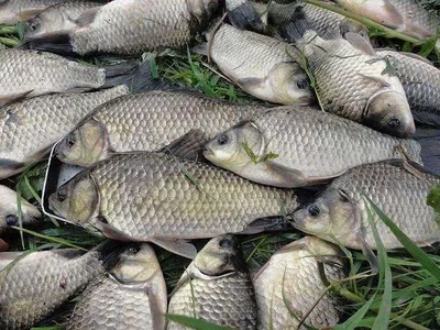 대박에 대박이라......