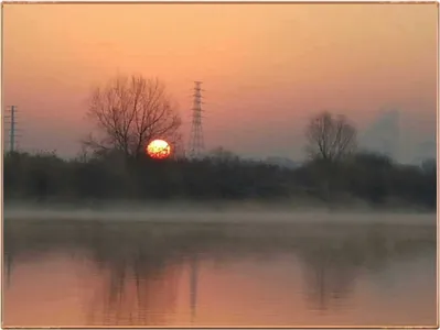 진위천 조황 소식