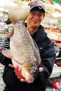 4짜에 37,36...기록갱신 했습니다