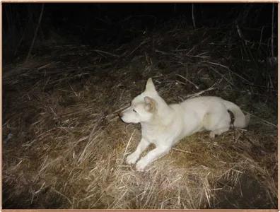 진위천 조황 소식