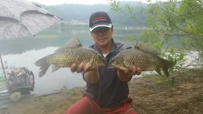 [고삼지] 노지 조황입니다