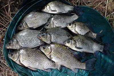 끝내줍니다 ......