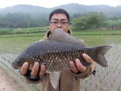 배수걱정은 없다.......