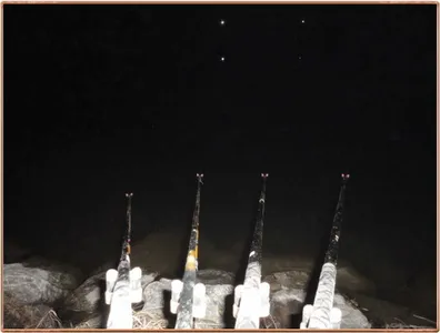 진위천 조황 소식