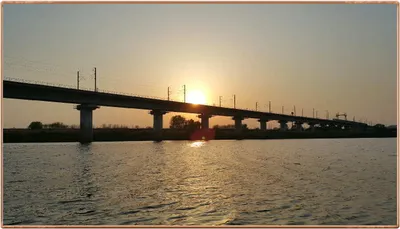 진위천 조황 소식