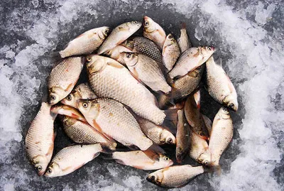 새해엔 대박나세요.....