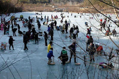 엄청나네요.......