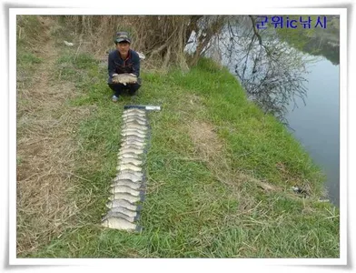 최고대박,4짜까지 허리급13수,총 월척25수 ~~