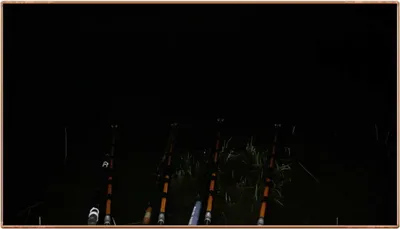 진위천 조황 소식