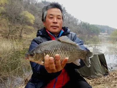 붕어와 함께 하는 4월의 봄날