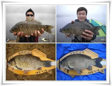 첫추위찬스,4짜,38대물 ~~