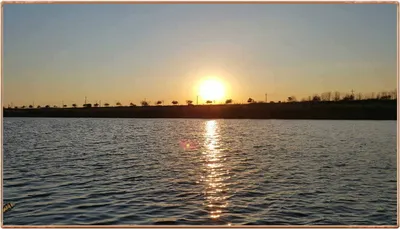 진위천 조황 소식