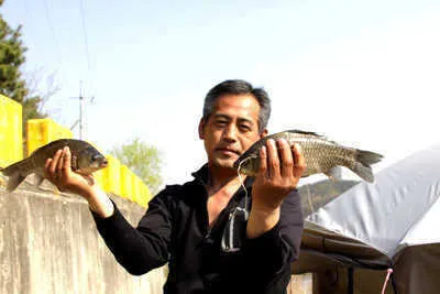 이쁜 붕어소식과 조황 안내