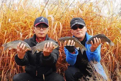 가을 대물급들.....