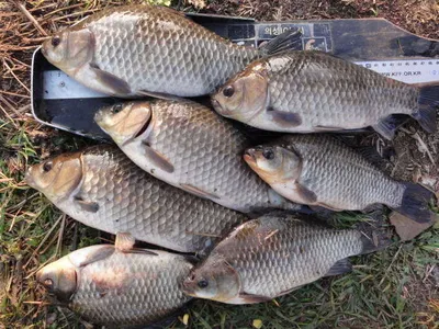 제대로 손맛 보셨습니다...