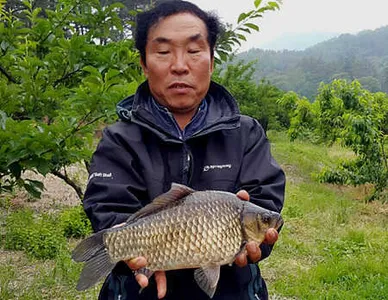 연휴를 맞은 대구.경산권 조황 소식입니다.