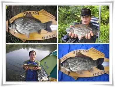 오름수위 기대할시기 ~~