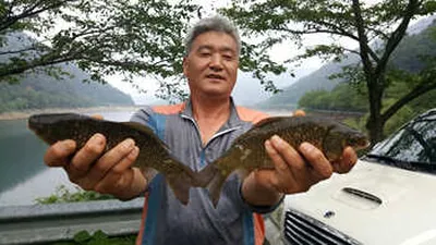 저수지 현황과 조황안내 입니다.