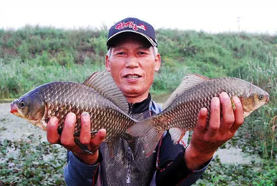 손맛 보셨습니다.