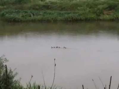 [청미천]토요일  새벽 모습입니다