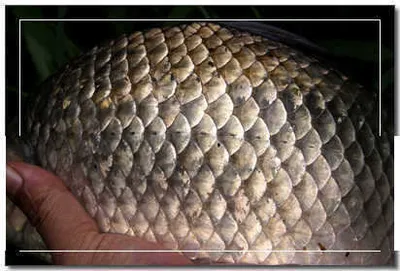 장마끝,더위와 낚시 시작